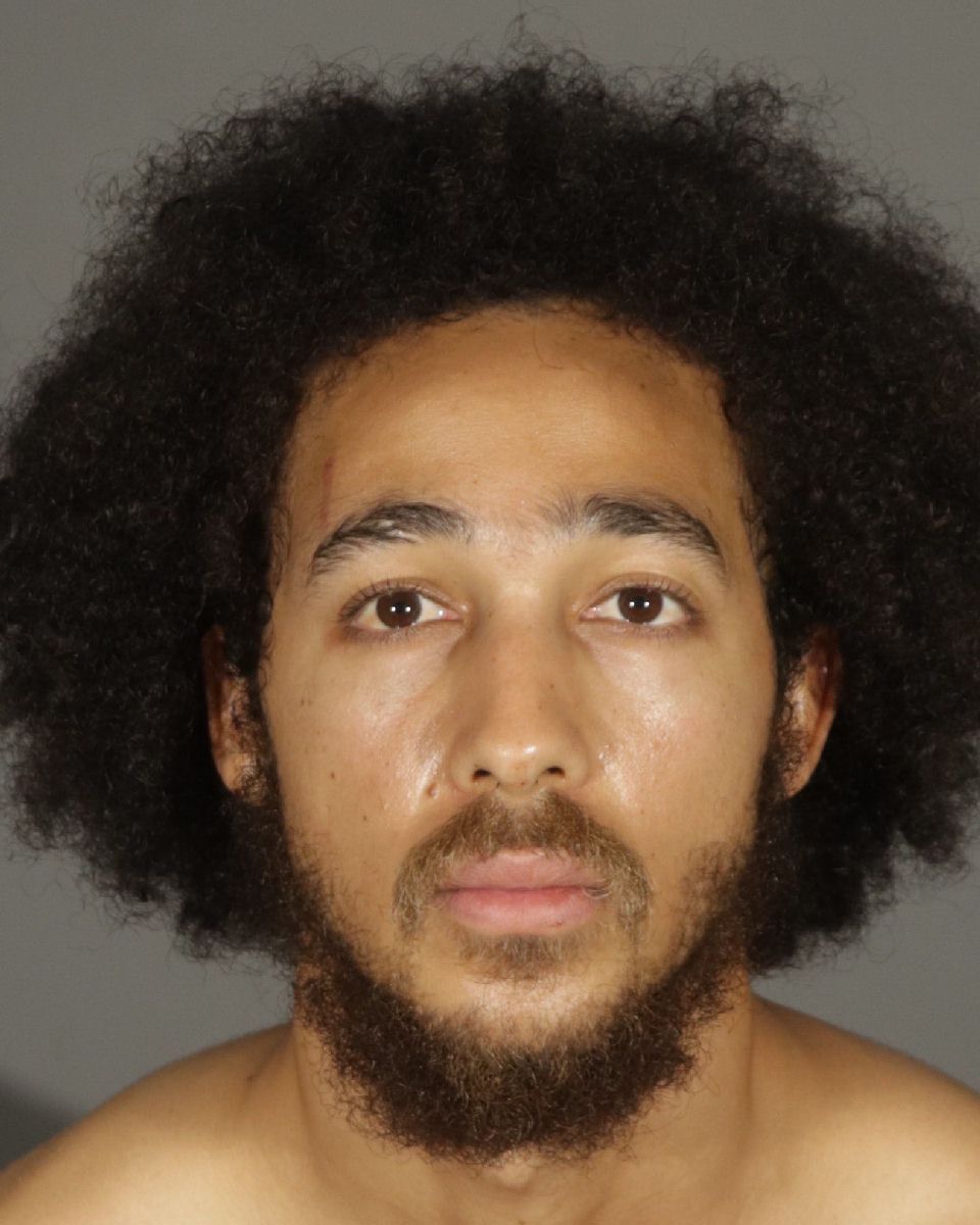 Attack on Christmas Eve Leads to Attempted Homicide Arrest - Vimarsana News